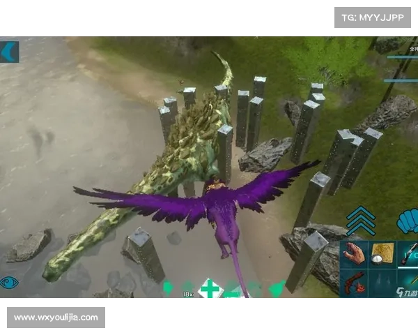 如何训练狮鹫掌握飞行与战斗技巧的五个关键步骤 如何训练狮鹫掌握飞行与战斗技巧的五个关键步骤