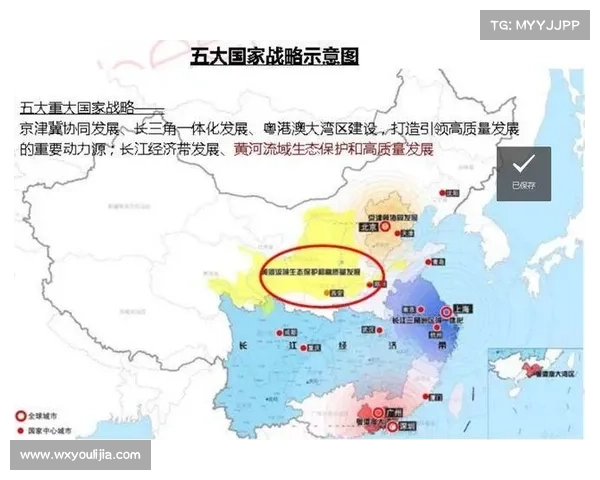 从五大关键要素解析建业俱乐部的组织性质与发展路径