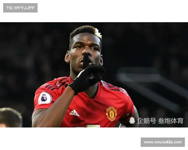 全面解析曼联弗兰技术特点与职业影响深度探秘权威报道综述篇