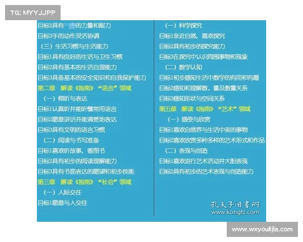 全面解析欧国联赛规则与玩法的深度理解与入门指南全方位教程汇编